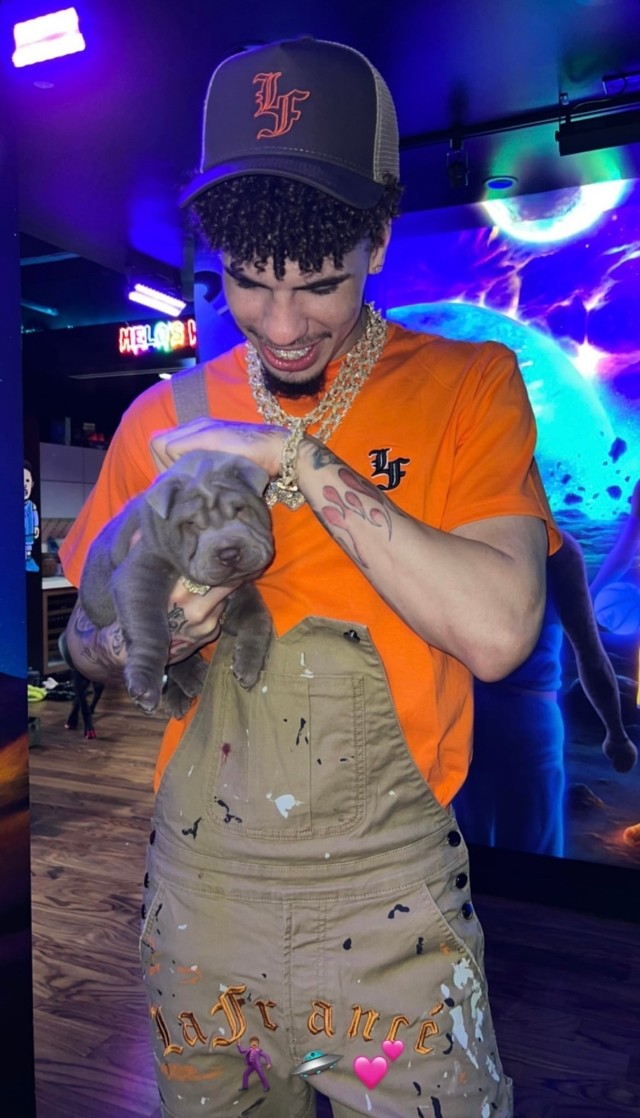 体坛 _体坛周报新闻客户端