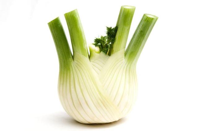 茴香根.jpg