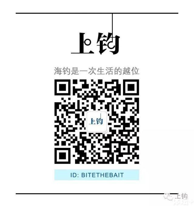 536614152832533223.jpg