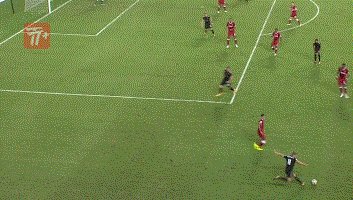 zzz1018.gif