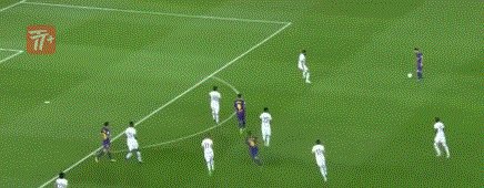 1502140285070044261.gif zzz1183.gif