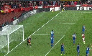 zzz1205.gif