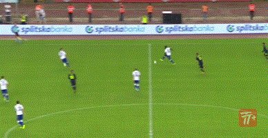zzz1394.gif