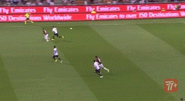 zzz1434.gif