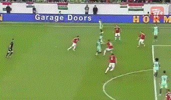 zzz1479.gif