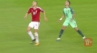 zzz1478.gif