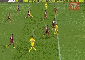 zzz1516.gif