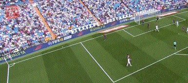 zzz1519.gif