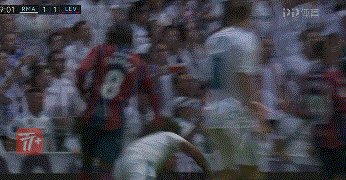 zzz1524.gif