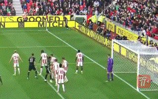 zzz1532.gif