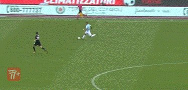 zzz1560.gif