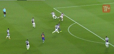 zzz1566.gif
