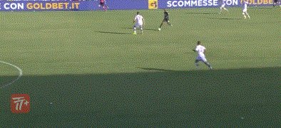 zzz1626.gif