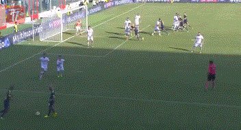 zzz1625.gif