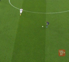 zzz1655.gif