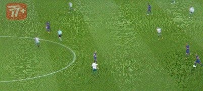 zzz1662.gif