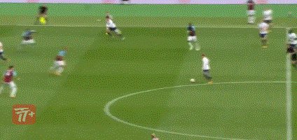 zzz1699.gif