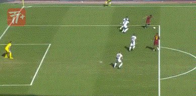 zzz1707.gif