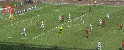 zzz1705.gif