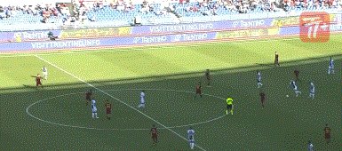 zzz1713.gif