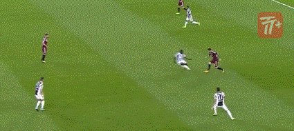 zzz1724.gif