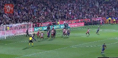 zzz1730.gif