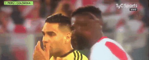 falcao polemica2.gif