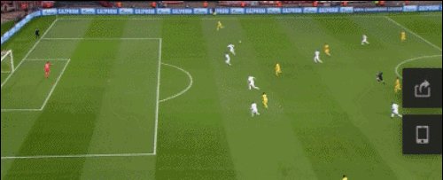 贝尔纳代斯基.gif