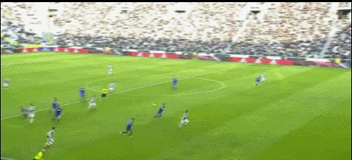 GIF5.gif