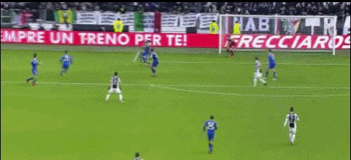 GIF4.gif