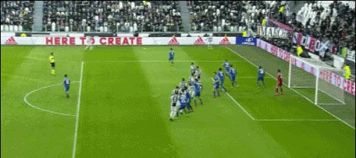 GIF1.gif