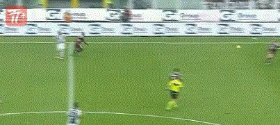 zzz3261.gif