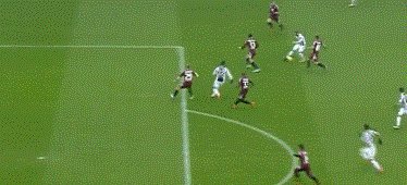 zzz3262.gif