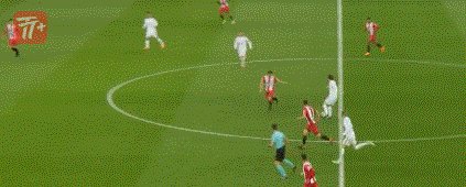 zzz3576.gif
