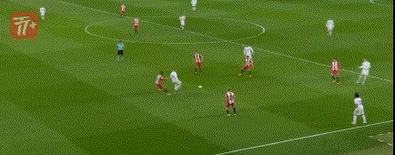 zzz3570.gif