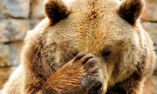 游览莫斯科俯首山,大家坐在一条长椅上略事休息之时,一条可爱的小板凳