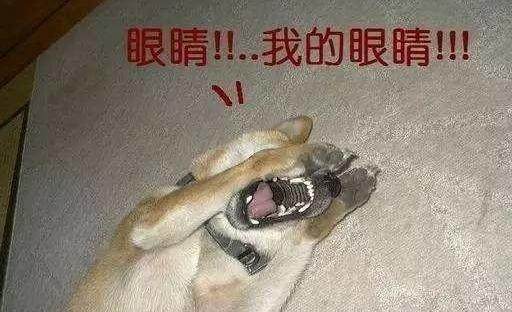 【不吐不快】中国代表团亚运礼服亮相,闪瞎了眼.