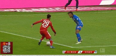 IMG_6755.gif