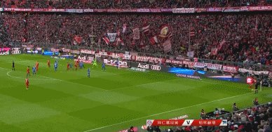 IMG_6752.gif