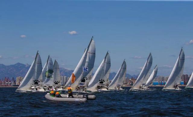 第四届大帆赛首日强队现失误 女子第一人分享奇遇