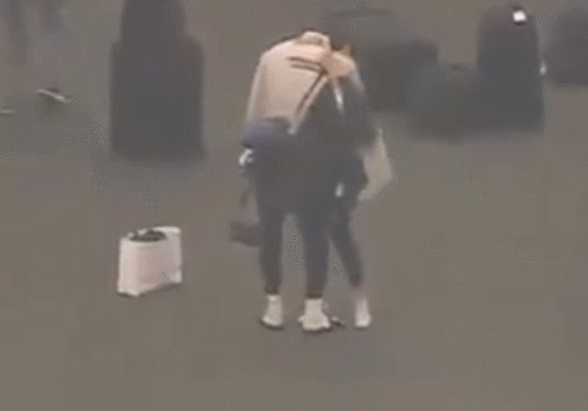 GIF.gif