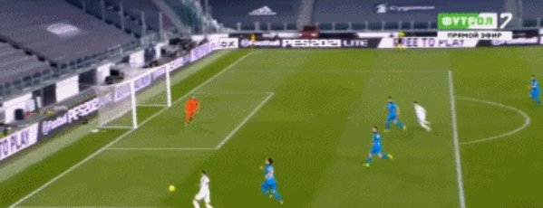 5.gif