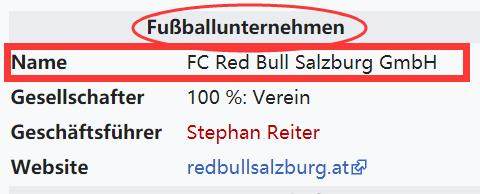 萨尔斯堡红牛俱乐部-公司性质.png