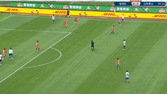 费莱尼.gif