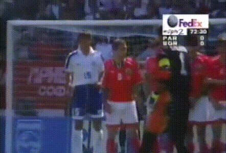 奇拉维特1998.gif