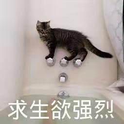 微信圖片_20210618082406.jpg
