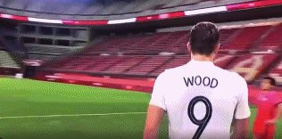 棒子.gif