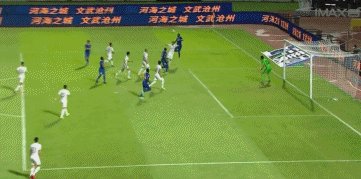 桑戈尔1.gif