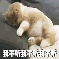 20190912281150_IVPjMp.gif