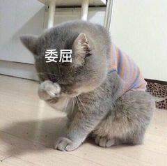 20200316328340_JhcvTb.jpg